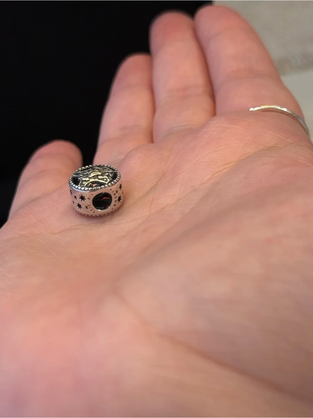 AuthenticHarry Potter charm is the Pandora Hogwarts Castle Charm, style 798622C0